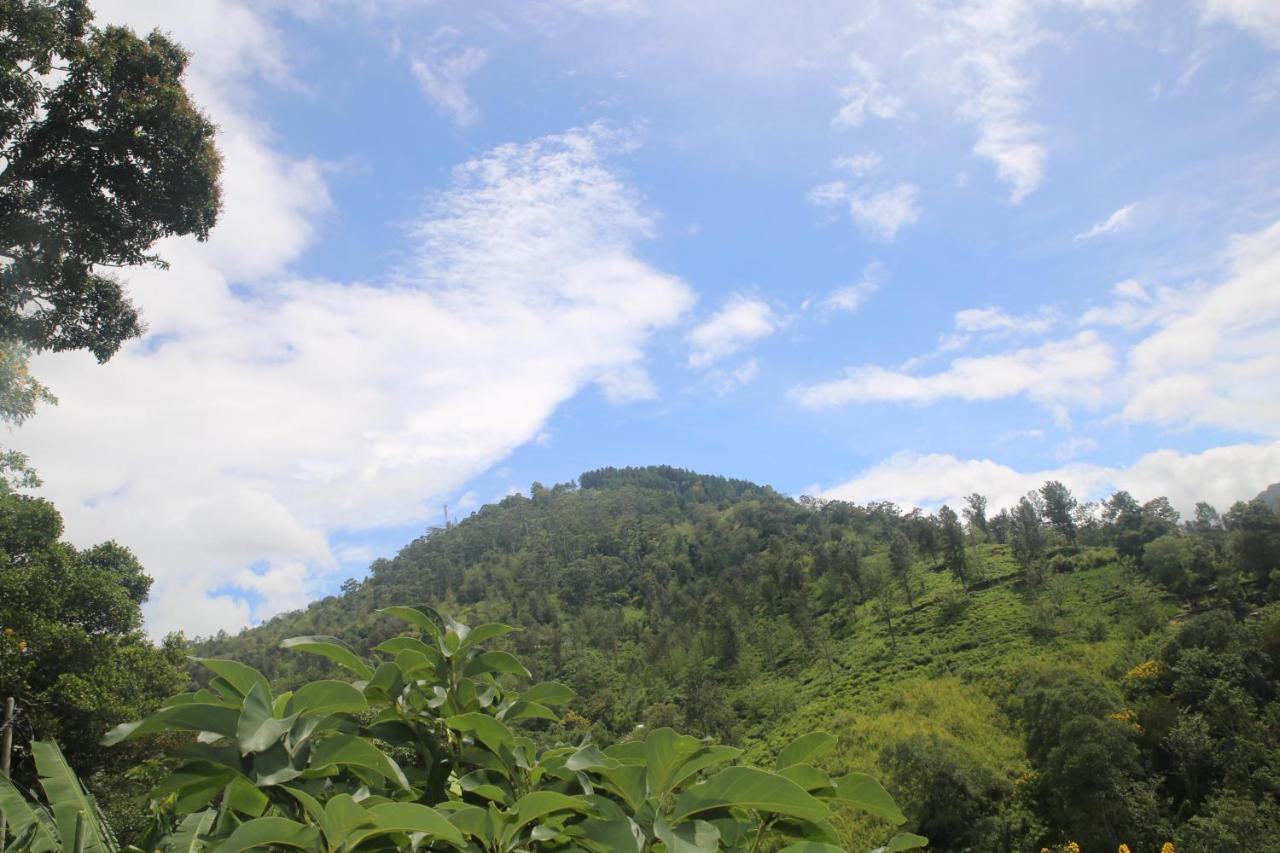 Green Cloud Villa Ella Luaran gambar
